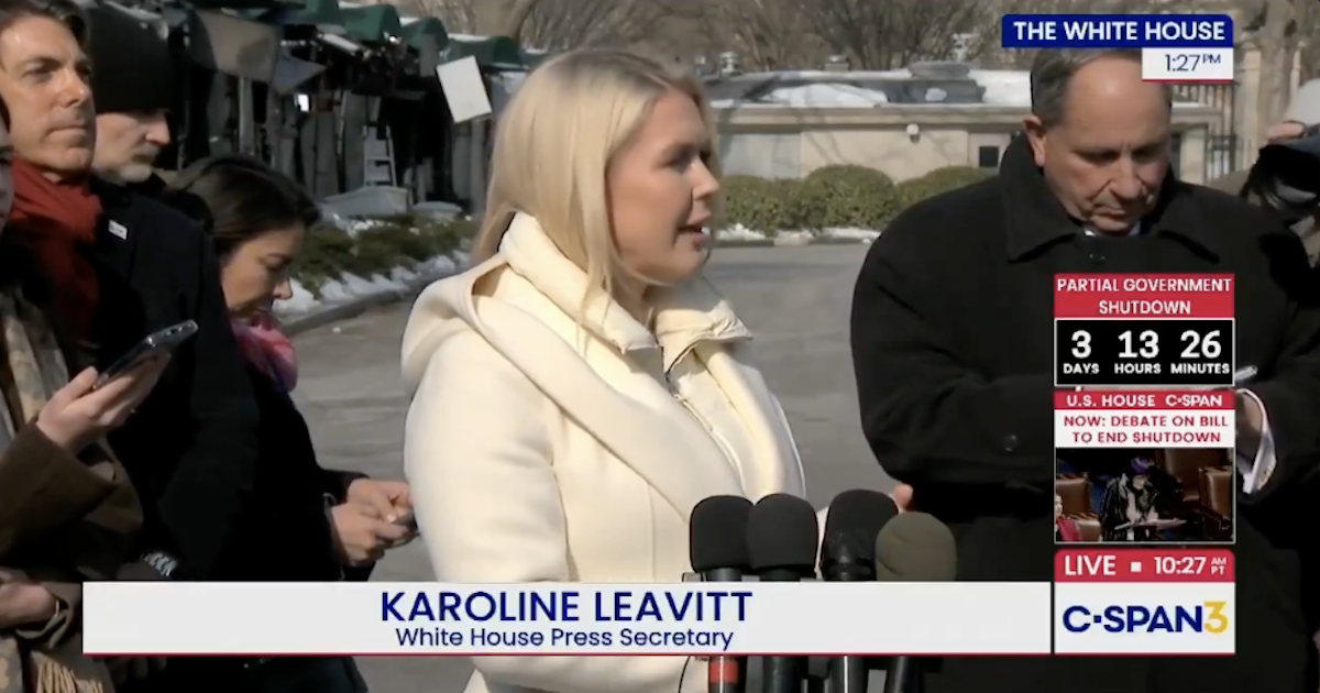 Leavitt Nukes Celebs Bashing ICE From Gated Mansions