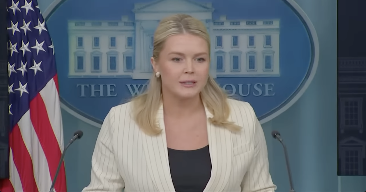 Leavitt Reveals What MSM is Hiding From You