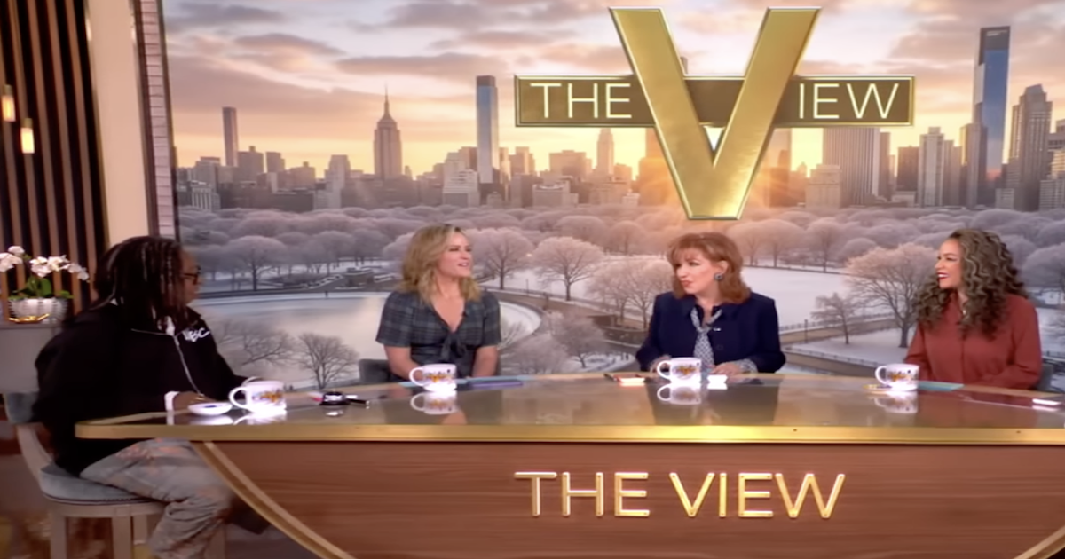 The View Slams Voter ID, Demands Photo ID for Audience