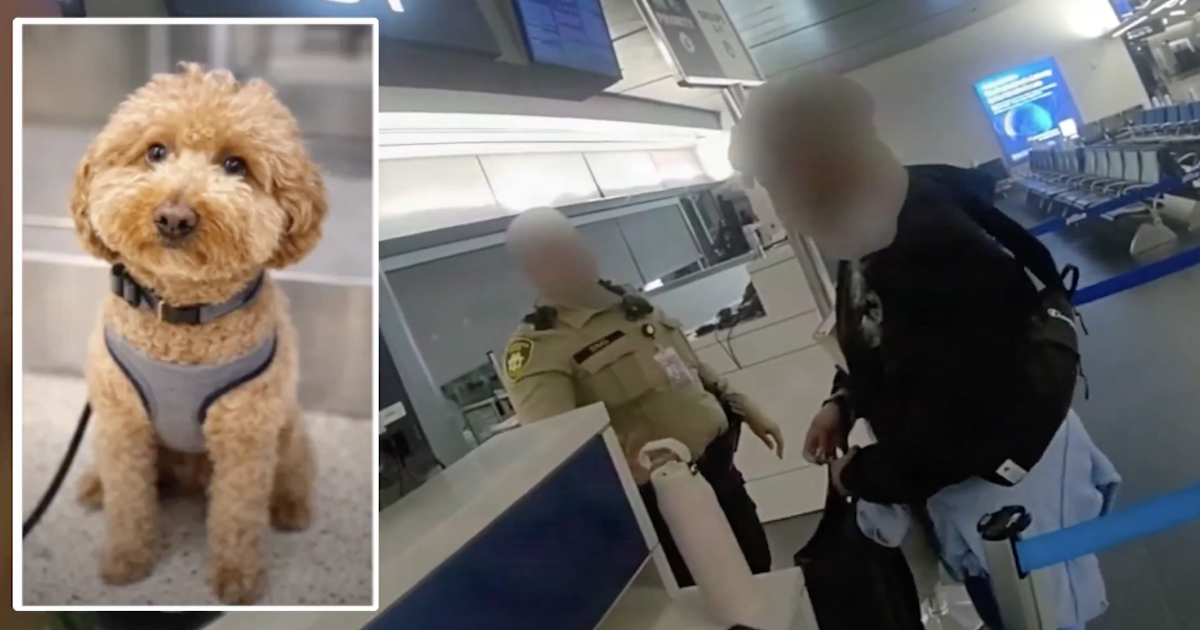 Shocking: Passenger Abandons Dog at Airport to Catch Flight