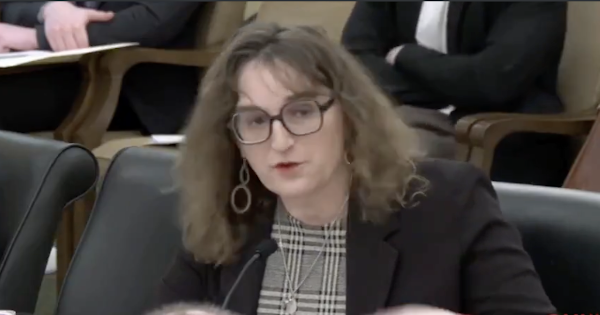 Trans Lawmaker Argues Minors 'Need Porn'