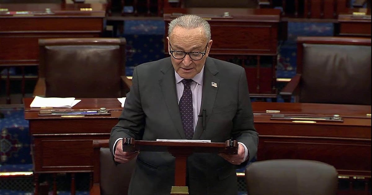 'DOA': Schumer Admits the Quiet Part Out Loud