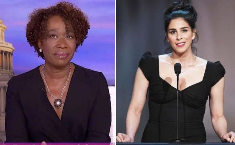 Liberal Sarah Silverman Is Attacked By WOKE MOB For Not Being Liberal Enough!
