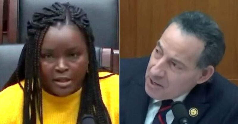 Watch Disgusted Legal Immigrant Nuke Raskin from Orbit: ‘My Time Is Valuable’